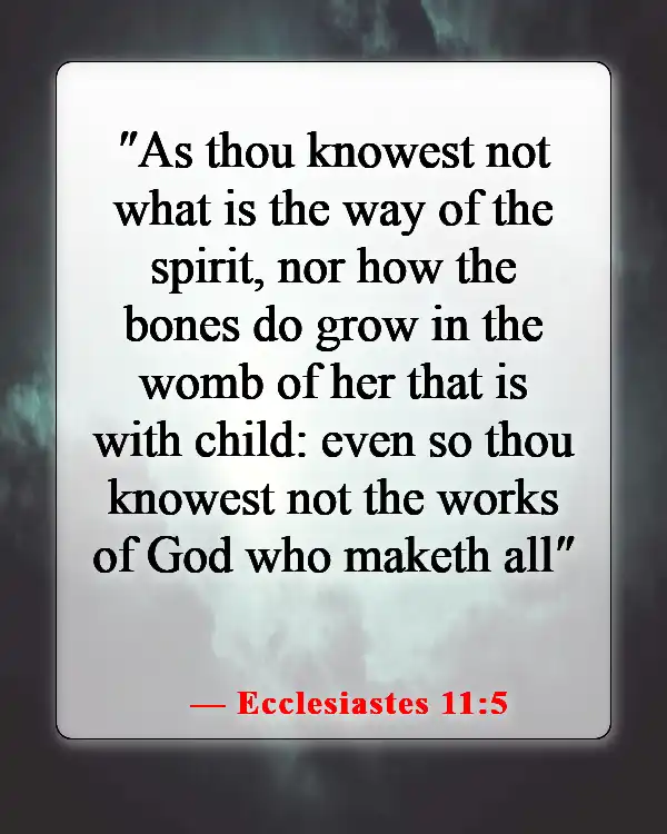 Bible Verse On How To Perform An Abortion (Ecclesiastes 11:5)