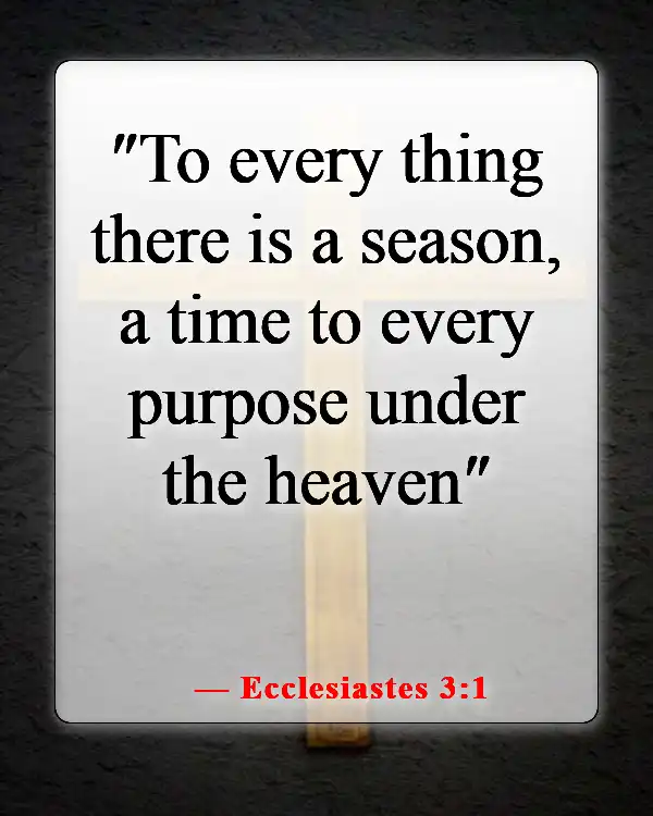 Inspiring Bible Passages About Stewardship Of God’s Creation (Ecclesiastes 3:1)