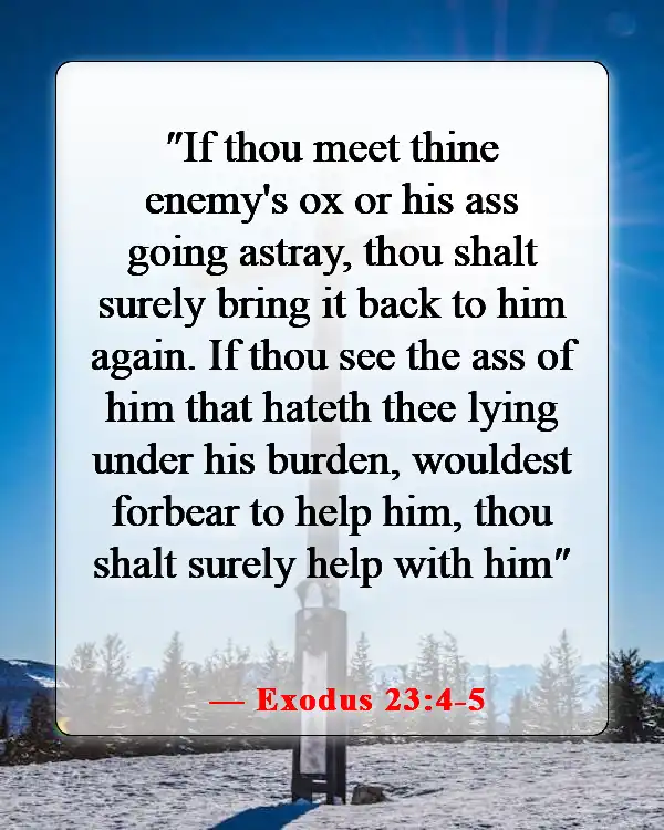 Bible Verses About Causing Pain To Others (Exodus 23:4-5)