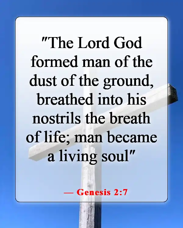 Bible Verses About Abortion Pro Choice (Genesis 2:7)