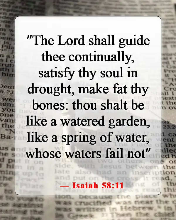 Bible Verses About Being Excited For The Future (Isaiah 58:11)