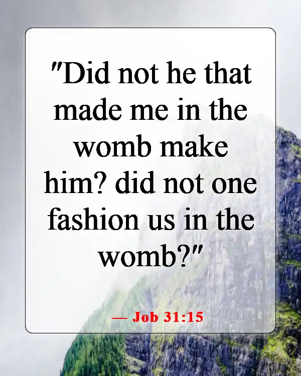 Bible Verse On How To Perform An Abortion (Job 31:15)