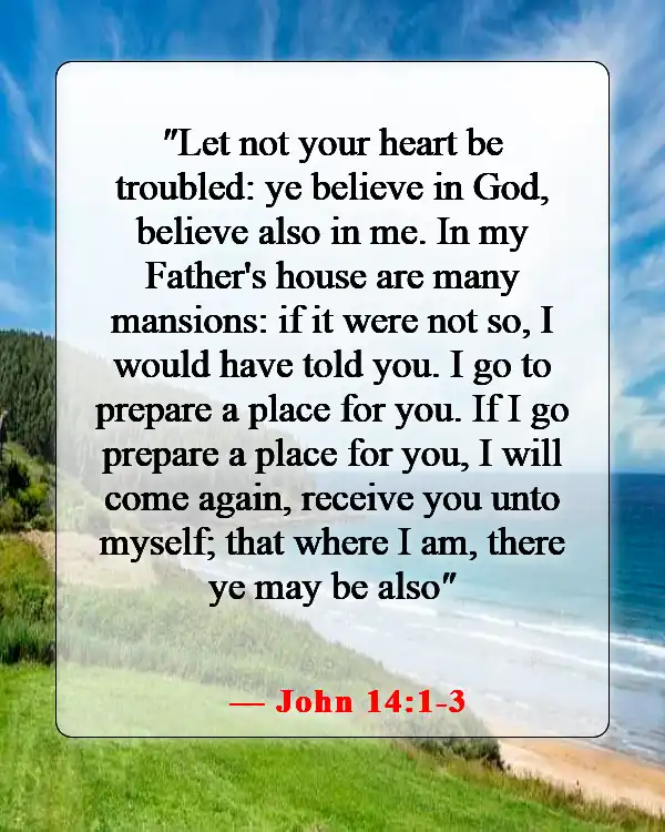 Bible Verse About Acceptance Of Death (John 14:1-3)