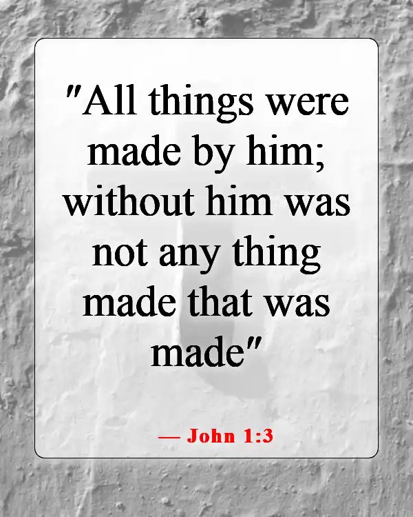 Inspiring Bible Passages About Stewardship Of God’s Creation (John 1:3)