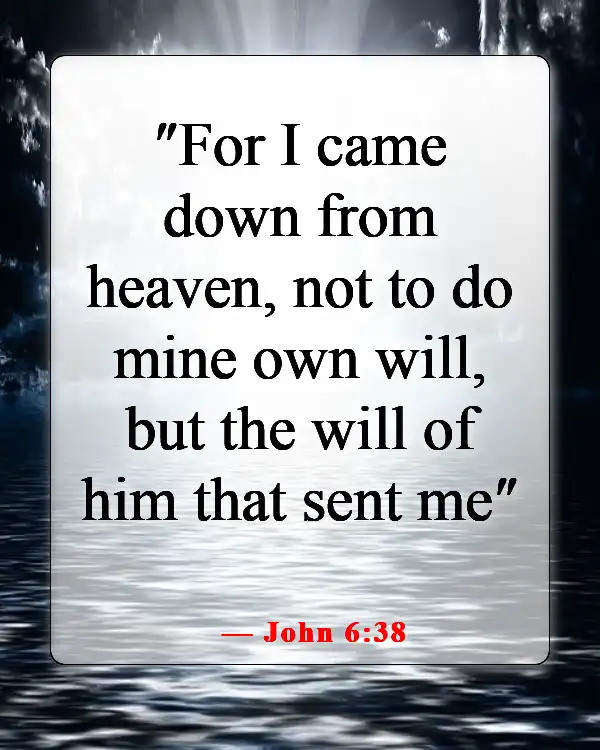 Amazing Bible Verses About Going To Heaven And Coming Back (John 6:38)