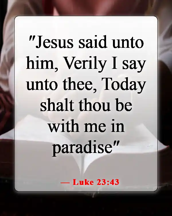 Amazing Bible Verses About Going To Heaven And Coming Back (Luke 23:43)