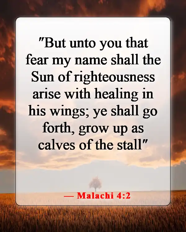 Bible Verse About God Protecting Us From Disease (Malachi 4:2)