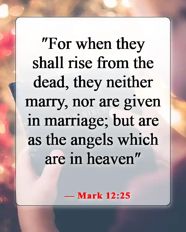 Amazing Bible Verses About Going To Heaven And Coming Back (Mark 12:25)