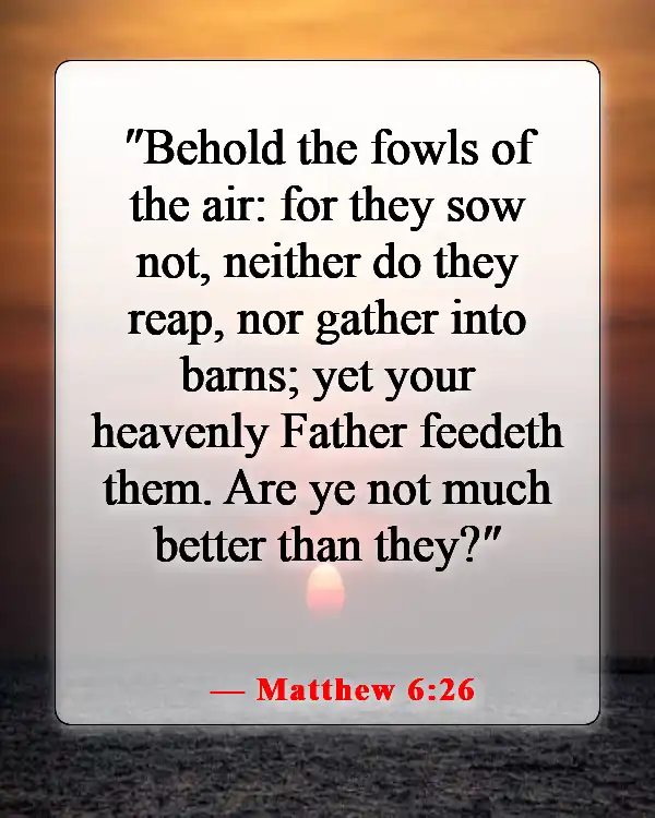 Inspiring Bible Passages About Stewardship Of God’s Creation (Matthew 6:26)