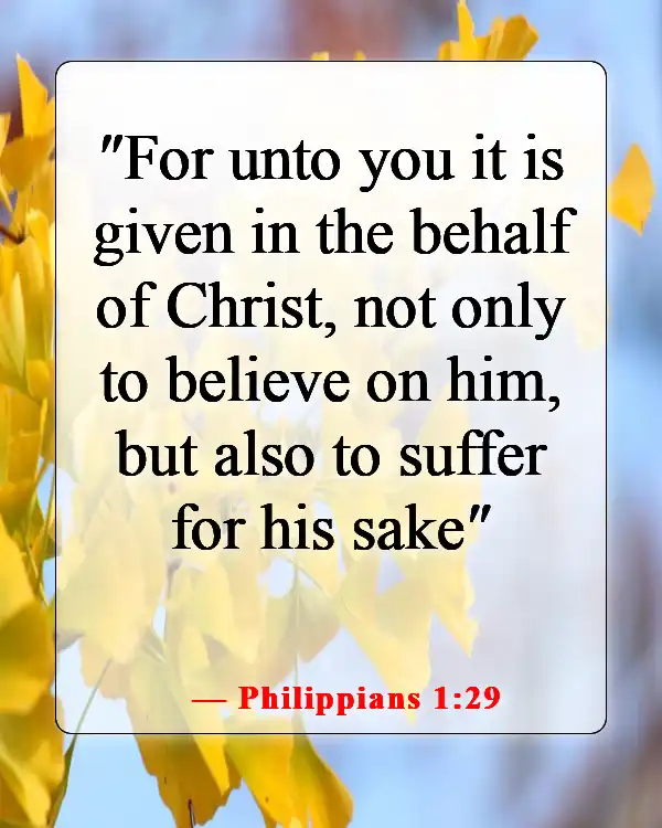 Bible Verses About Losing Friends Because Of Faith (Philippians 1:29)