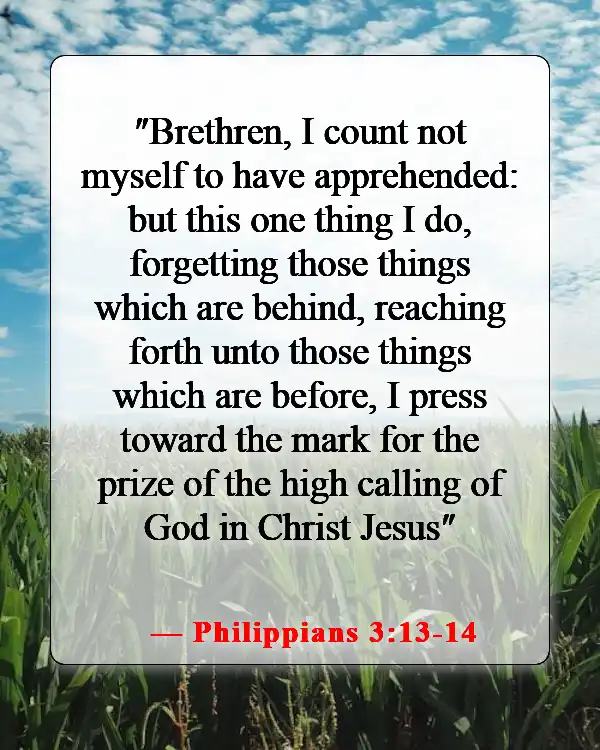 Bible Verses About Being Excited For The Future (Philippians 3:13-14)