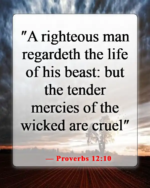 Inspiring Bible Passages About Stewardship Of God’s Creation (Proverbs 12:10)