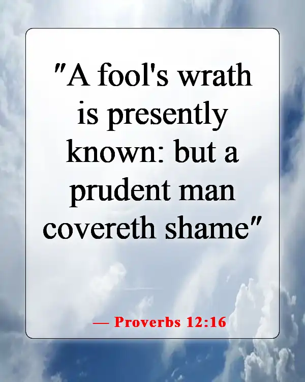 Bible Verses About Patience And Self Control (Proverbs 12:16)