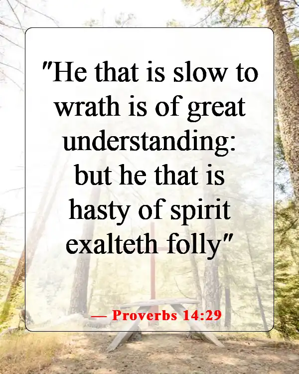 Bible Verses About Patience And Self Control (Proverbs 14:29)