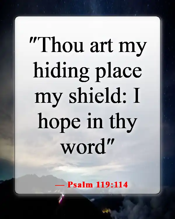 Bible Verses About Being Excited For The Future (Psalm 119:114)