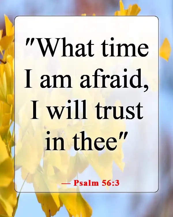 Bible Verses For When You Feel Like Your Lifes Falling Apart (Psalm 56:3)