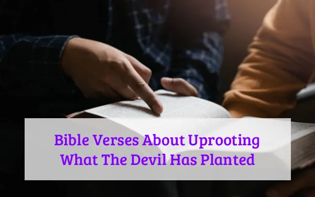 Bible Verses About Uprooting What The Devil Has Planted