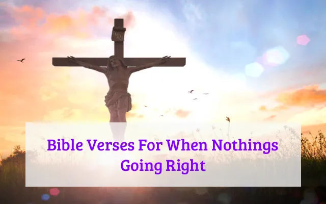 Bible Verses For When Nothings Going Right